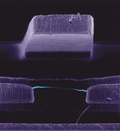 Ultraclean Carbon Nanotube Field-effect Transistor